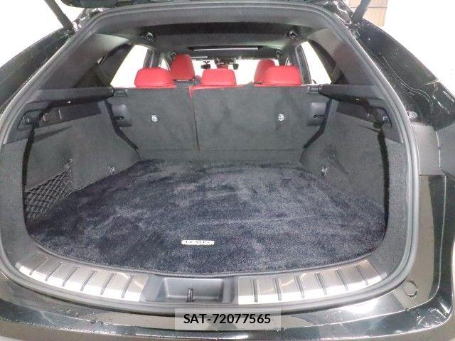 Lexus NX 2022-09 8659985-12