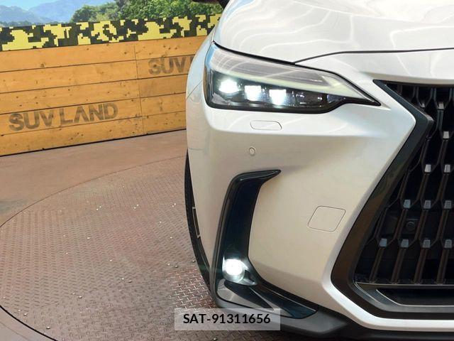 Lexus NX 2023-09 8659979-12