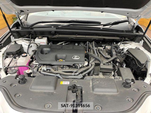 Lexus NX 2023-09 8659979-17
