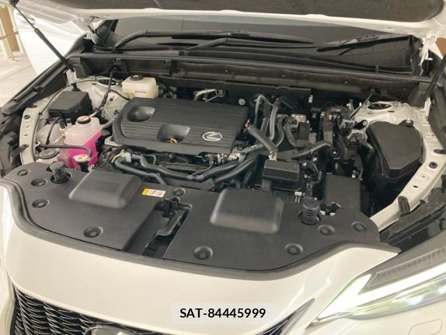 Lexus NX 2025-05 8659978-11