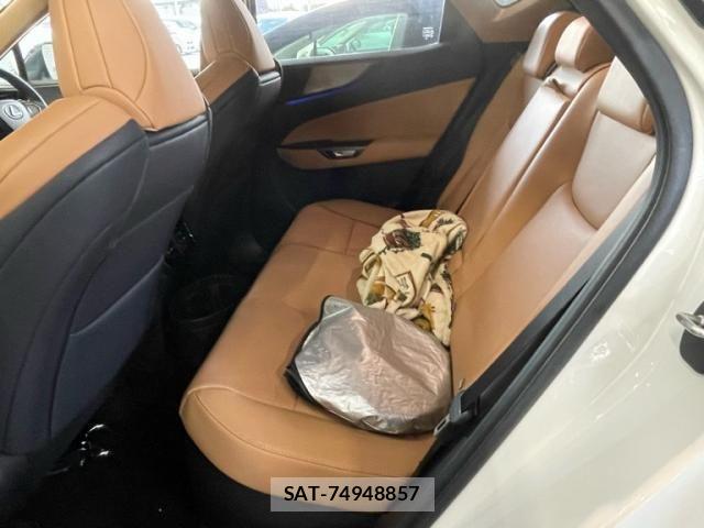 Lexus NX 2025-06 8666418-11