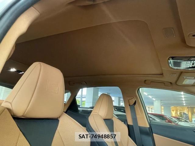 Lexus NX 2025-06 8666418-16