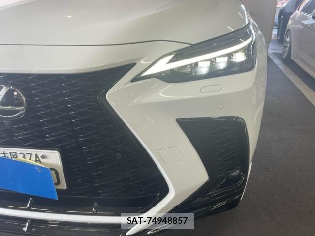 Lexus NX 2025-06 8666418-2