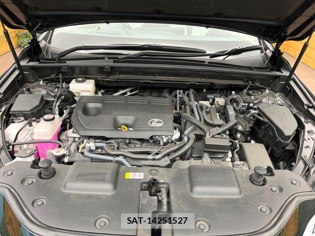 Lexus NX 2022-09 8685858-17
