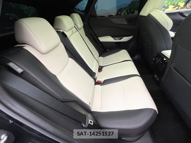 Lexus NX 2022-09 8685858-8