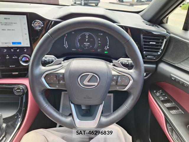Lexus NX 2023-03 8743480-12