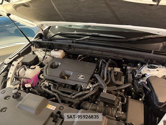 Lexus NX 2025-01 8743475-25