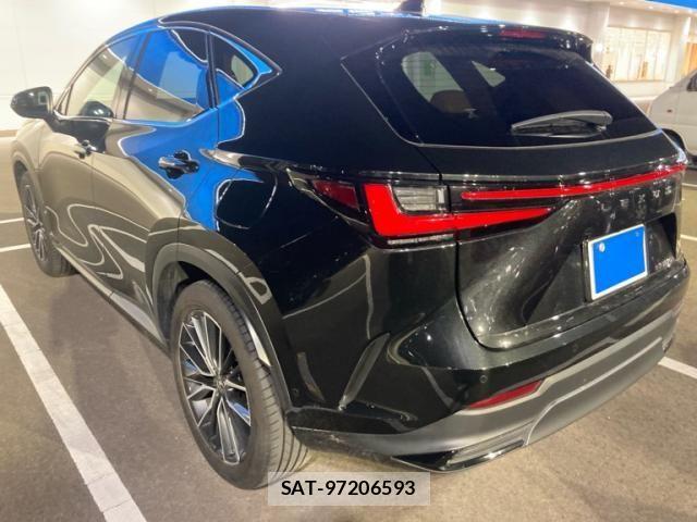 Lexus NX 2024-02 8743479-6