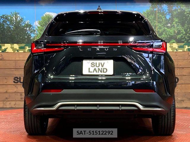 Lexus NX 2025-05 8780885-14