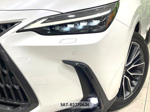Lexus NX 2024-06 8780888-12