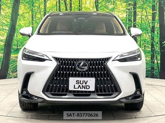 Lexus NX 2024-06 8780888-14