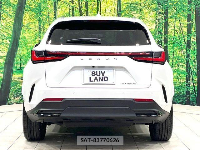 Lexus NX 2024-06 8780888-15