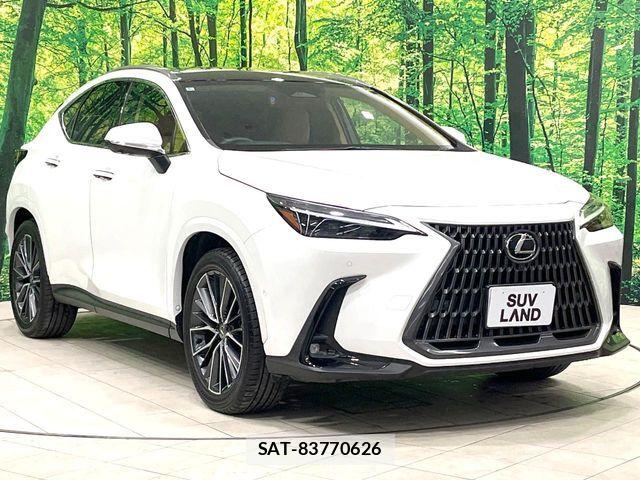 Lexus NX 2024-06 8780888-16