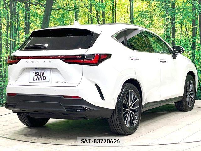 Lexus NX 2024-06 8780888-17
