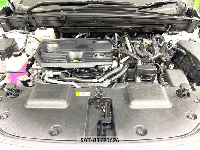 Lexus NX 2024-06 8780888-18