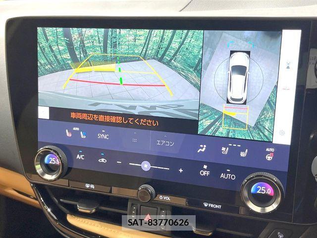 Lexus NX 2024-06 8780888-4