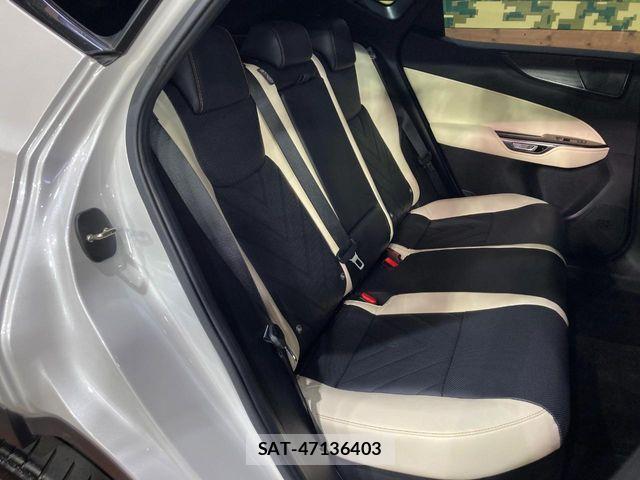Lexus NX 2023-11 8780899-9