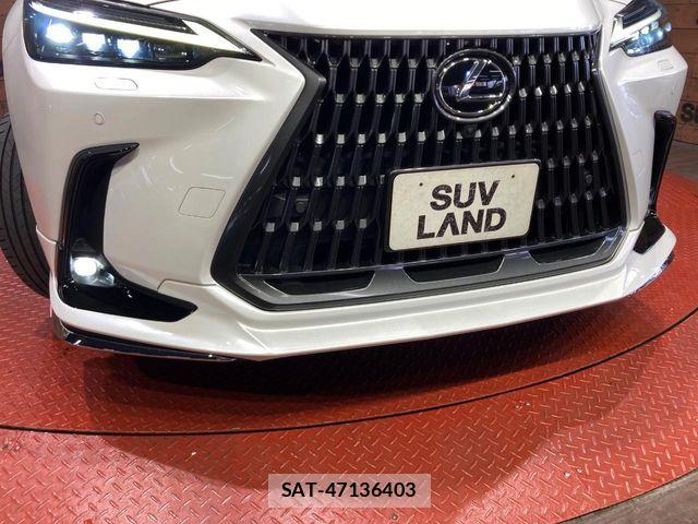 Lexus NX 2023-11 8780899-2