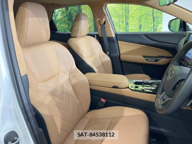 Lexus NX 2024-01 8780891-7