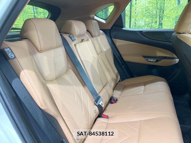 Lexus NX 2024-01 8780891-8