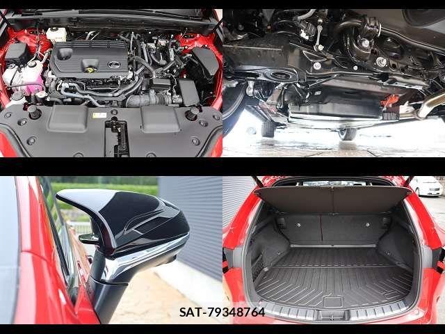 Lexus NX 2025-06 8780886-25