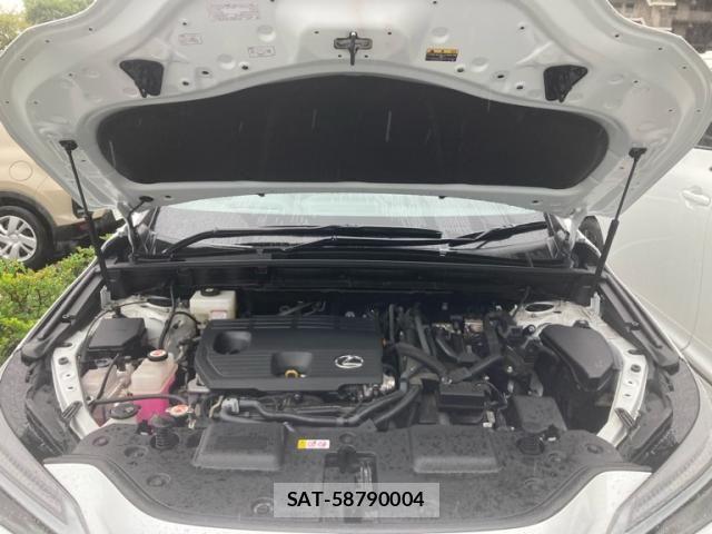 Lexus NX 2023-07 8780890-10