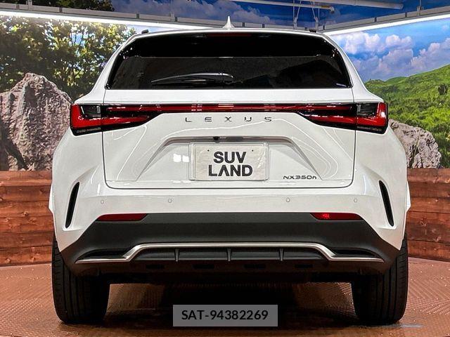 Lexus NX 2023-06 8780887-15