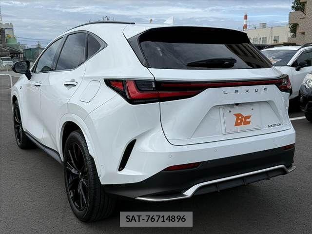 Lexus NX 2024-05 8780889-12