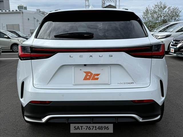 Lexus NX 2024-05 8780889-13