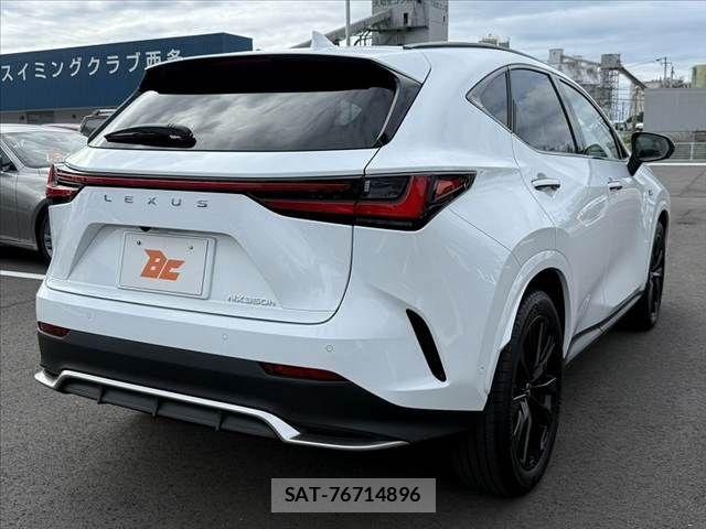 Lexus NX 2024-05 8780889-14