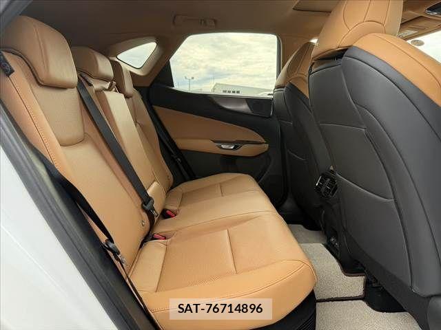 Lexus NX 2024-05 8780889-17