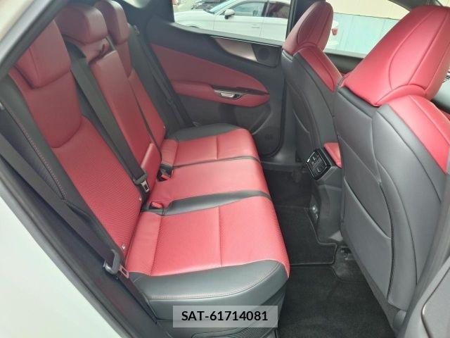 Lexus NX 2023-09 8796497-11
