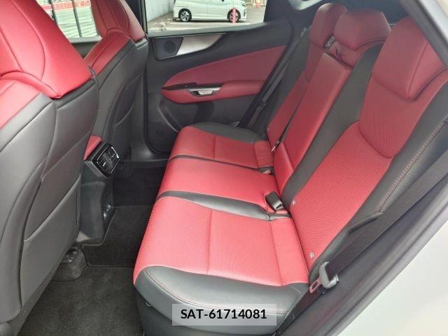 Lexus NX 2023-09 8796497-12