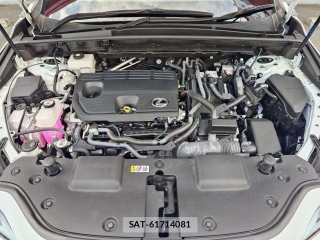 Lexus NX 2023-09 8796497-14