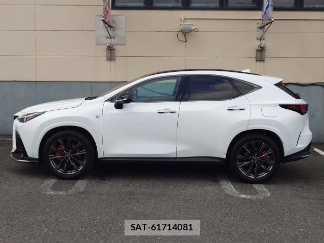 Lexus NX 2023-09 8796497-15