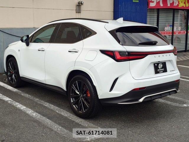 Lexus NX 2023-09 8796497-17