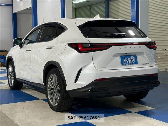 Lexus NX 2023-08 8796498-19