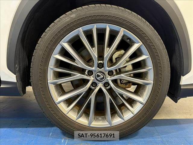 Lexus NX 2023-08 8796498-23