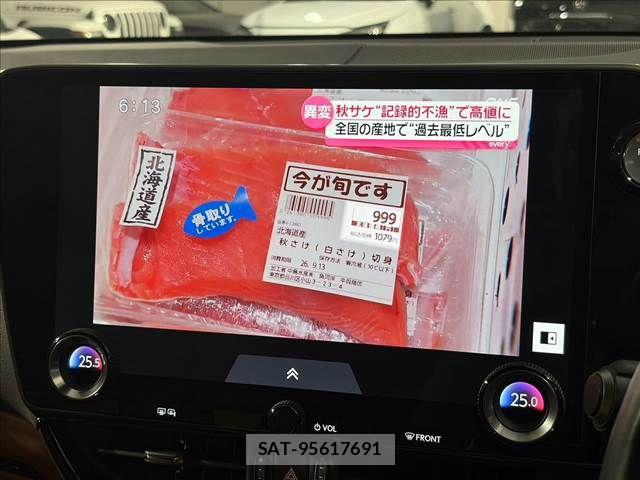 Lexus NX 2023-08 8796498-29