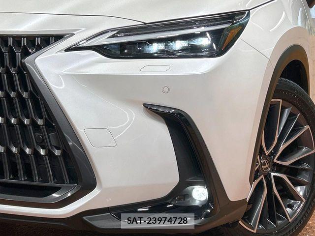 Lexus NX 2023-08 8796499-12