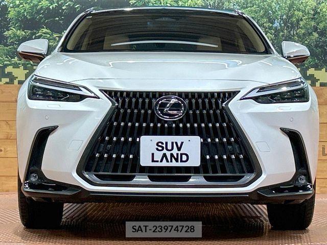Lexus NX 2023-08 8796499-14