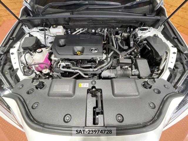 Lexus NX 2023-08 8796499-18