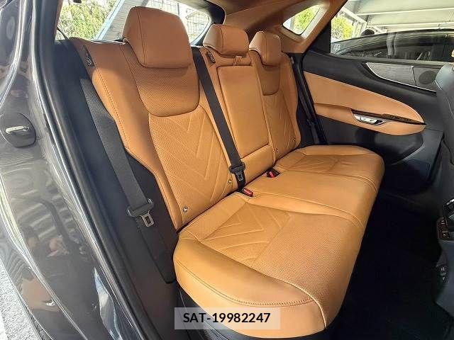 Lexus NX 2023-02 8796501-11