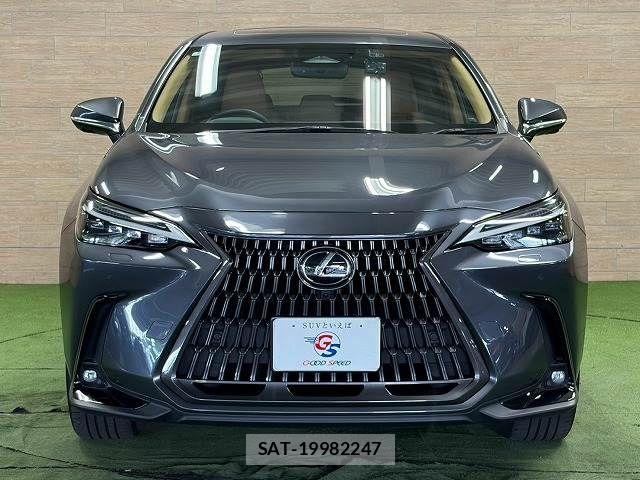 Lexus NX 2023-02 8796501-14