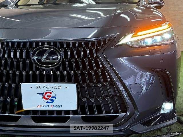 Lexus NX 2023-02 8796501-19