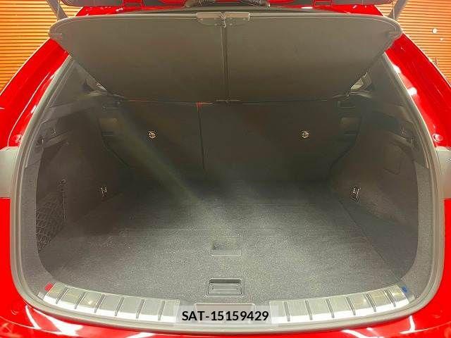 Lexus NX 2023-08 8796503-12