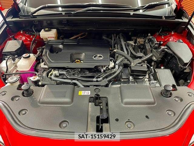 Lexus NX 2023-08 8796503-13