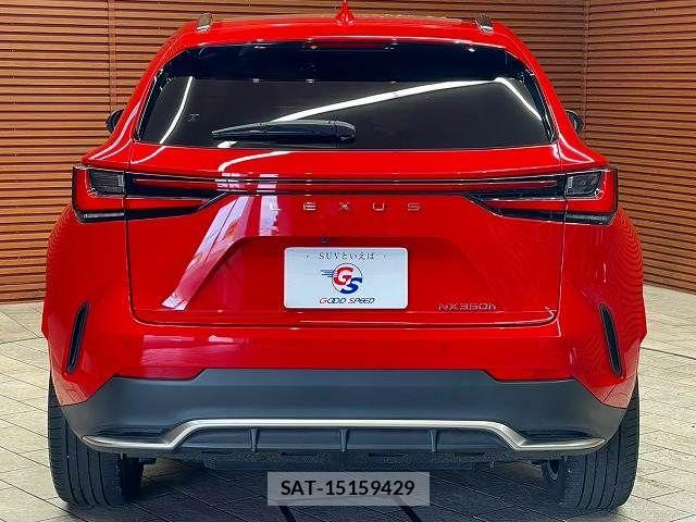 Lexus NX 2023-08 8796503-15