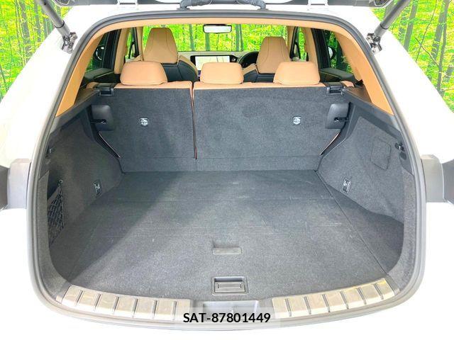 Lexus NX 2025-01 8796496-10