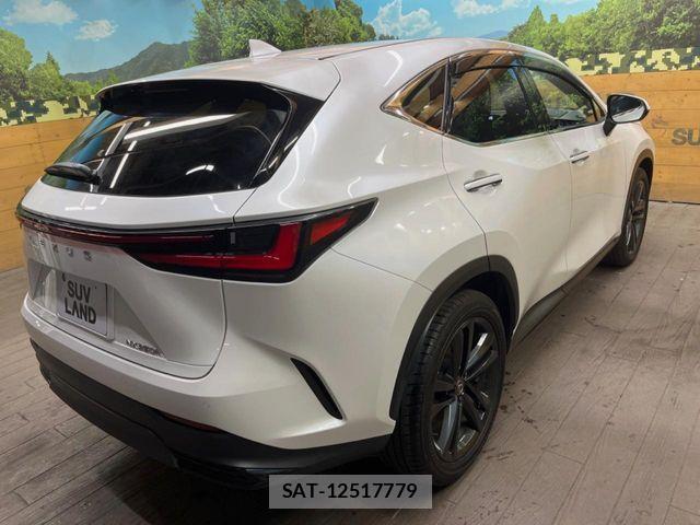 Lexus NX 2023-09 8830004-16